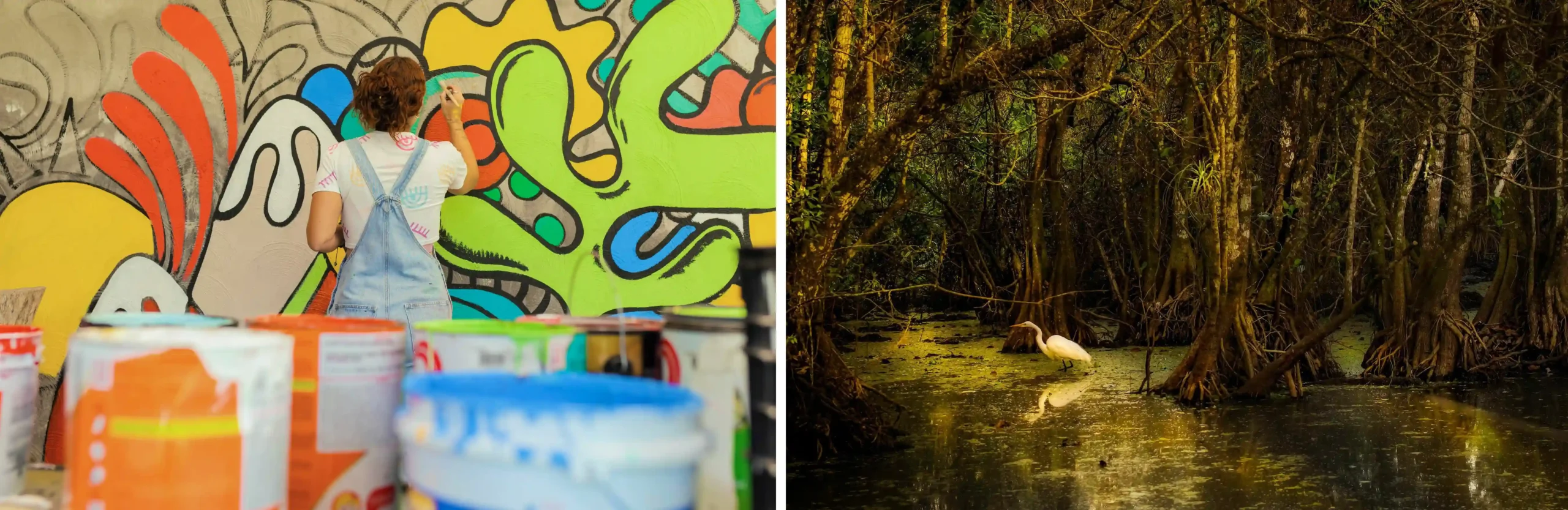Cultura y naturaleza en Miami
