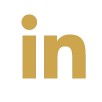 Icono de linkedin