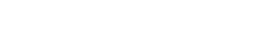 Logo MG Developer