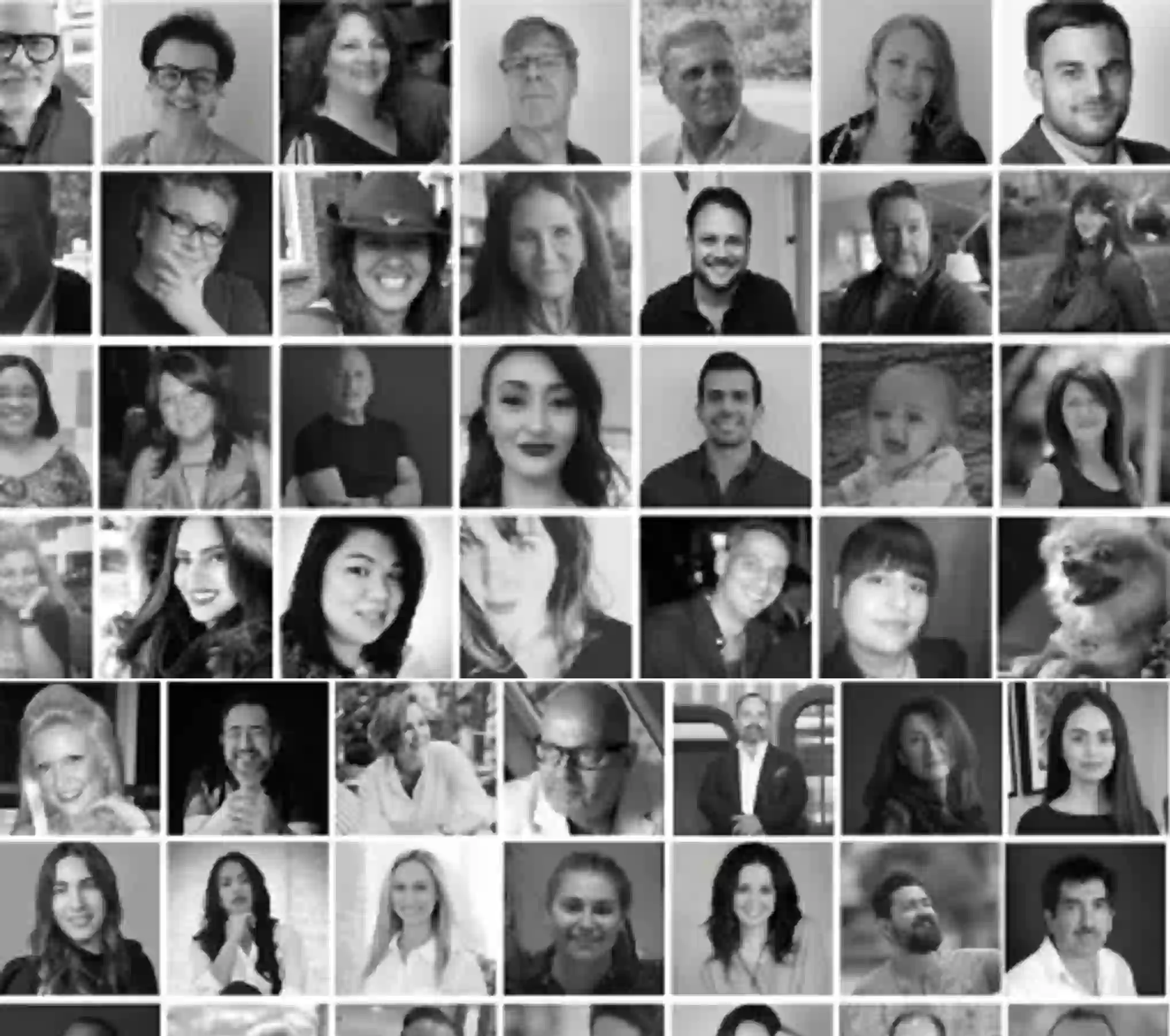 El equipo detrás del proyecto Cassia en Coral Gables