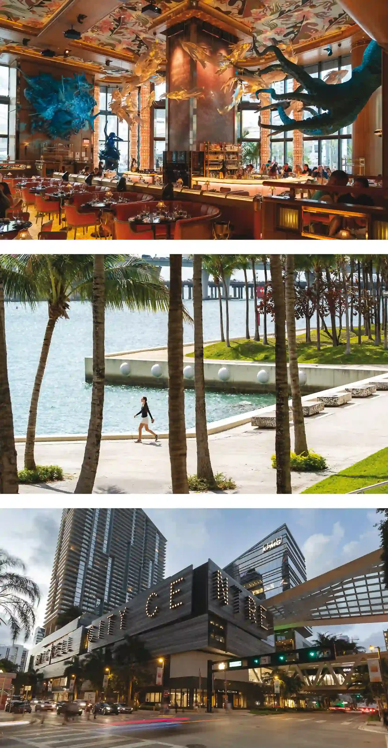 Brickell: El Corazón de la Transformación