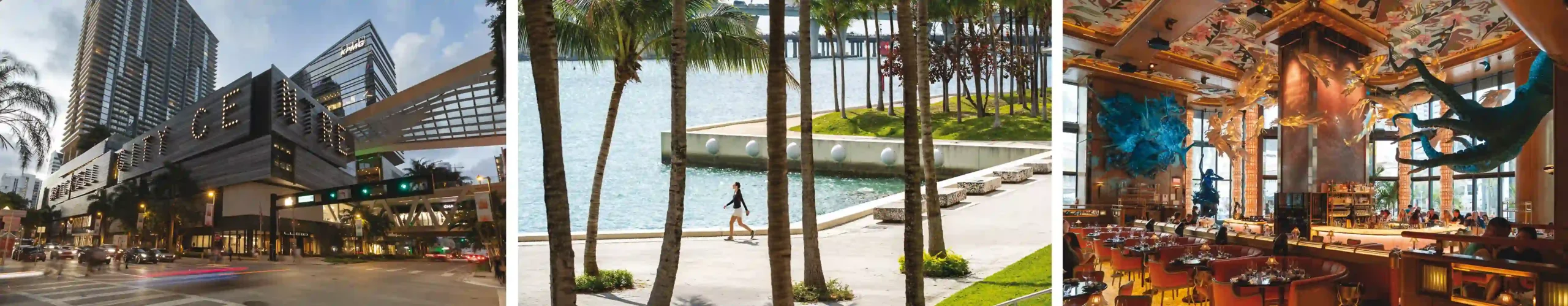 Brickell: El Corazón de la Transformación
