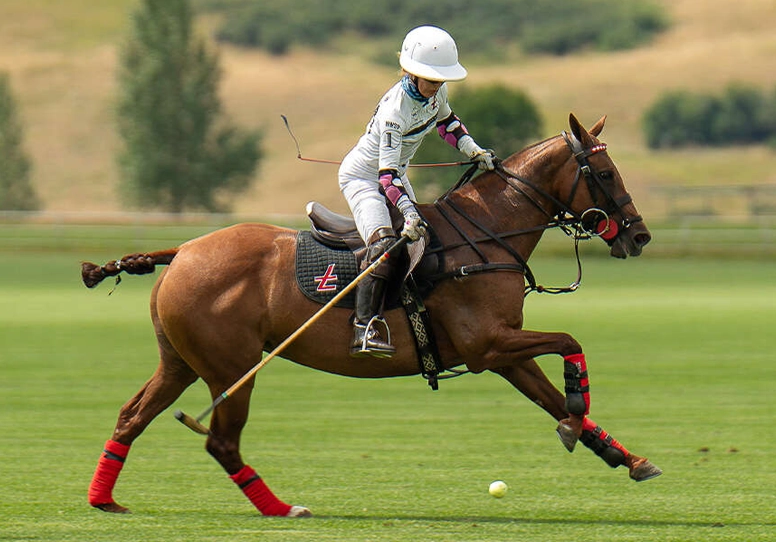 Preguntas frecuentes sobre el Polo World Cup 2026